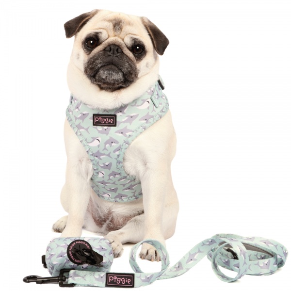 Dog Lead Khaki Small main image 1